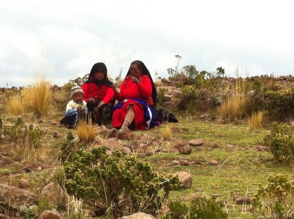 David Jobling tweet media