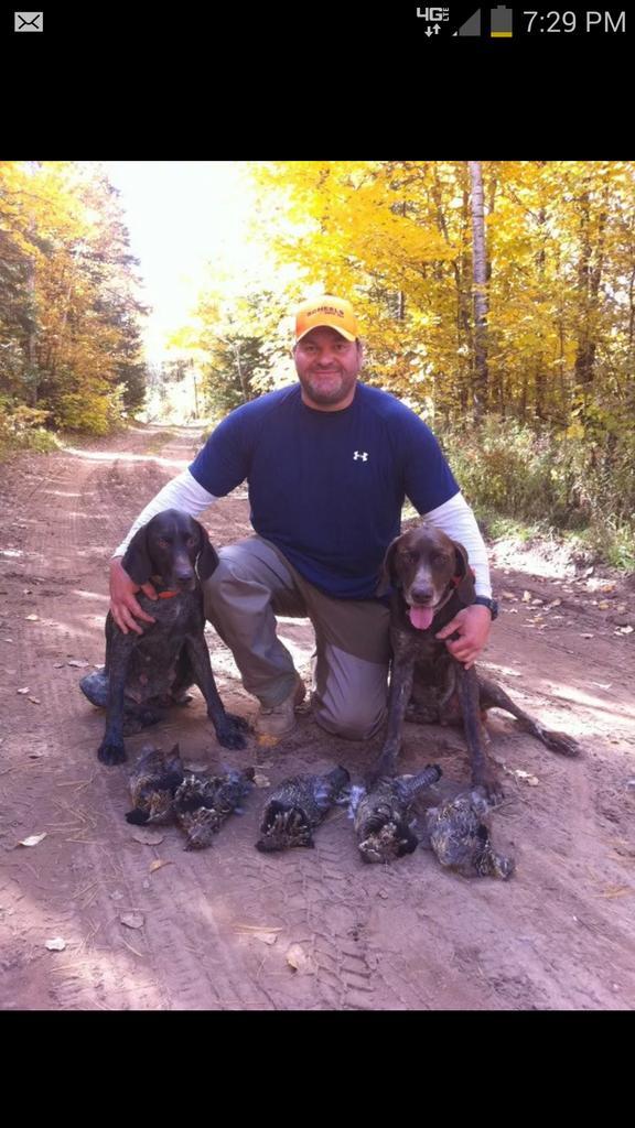 LingerBrian's tweet image. Love my hounds..