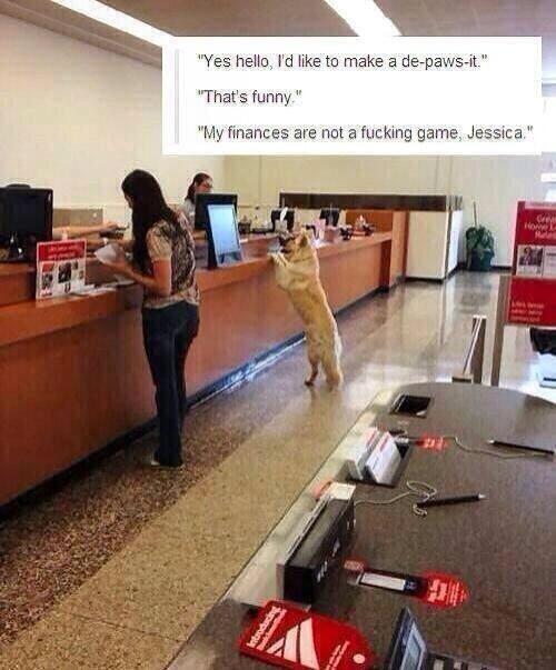 WolfpackAlan's tweet photo. Why is this so funny to me http://t.co/RnPOx4entu
