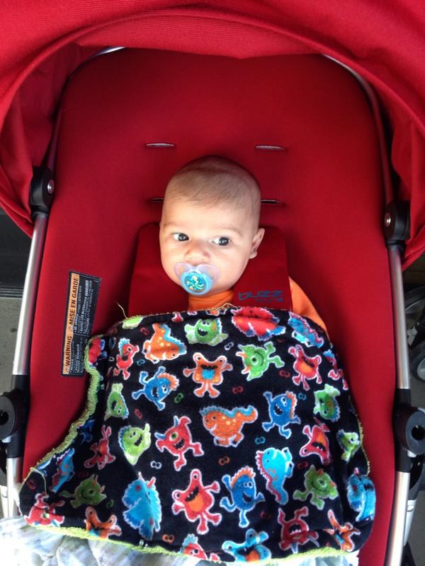 Taylor Goss 🏡 tweet media