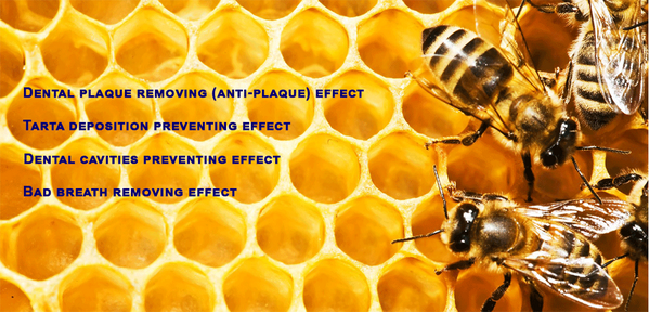 Propolis Toothpaste
Dental plaque is often called Plaque and refers to a layer that...
atomyteams.com