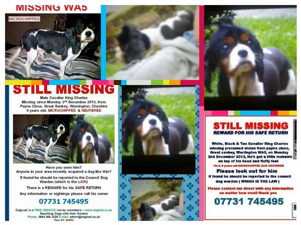 Monty-is-Missing tweet media