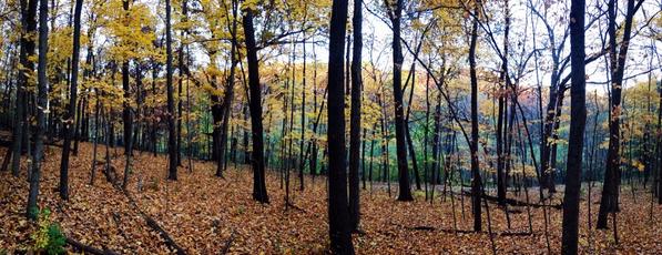 Daniel Machlab tweet media