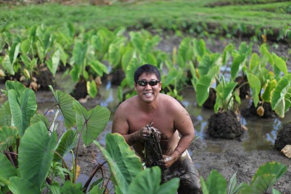aloha_aina's tweet photo. We can all support local farmers & food by voting yes on Amend. 2
https://t.co/VIamsWQmUa
#VoteYes2LocalFood http://t.co/MIYmpzvXT7
