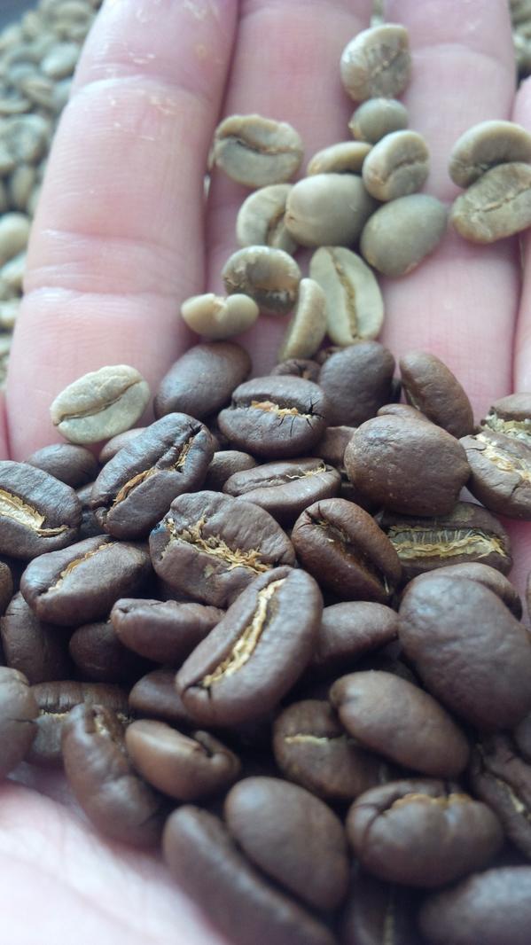 worcas's tweet photo. Available Raw - Green Bean and Roasted Kopi Luwak Gayo 
Wild - 100% Pure and Natural

Minat?? :D http://t.co/PDti1A0UQQ