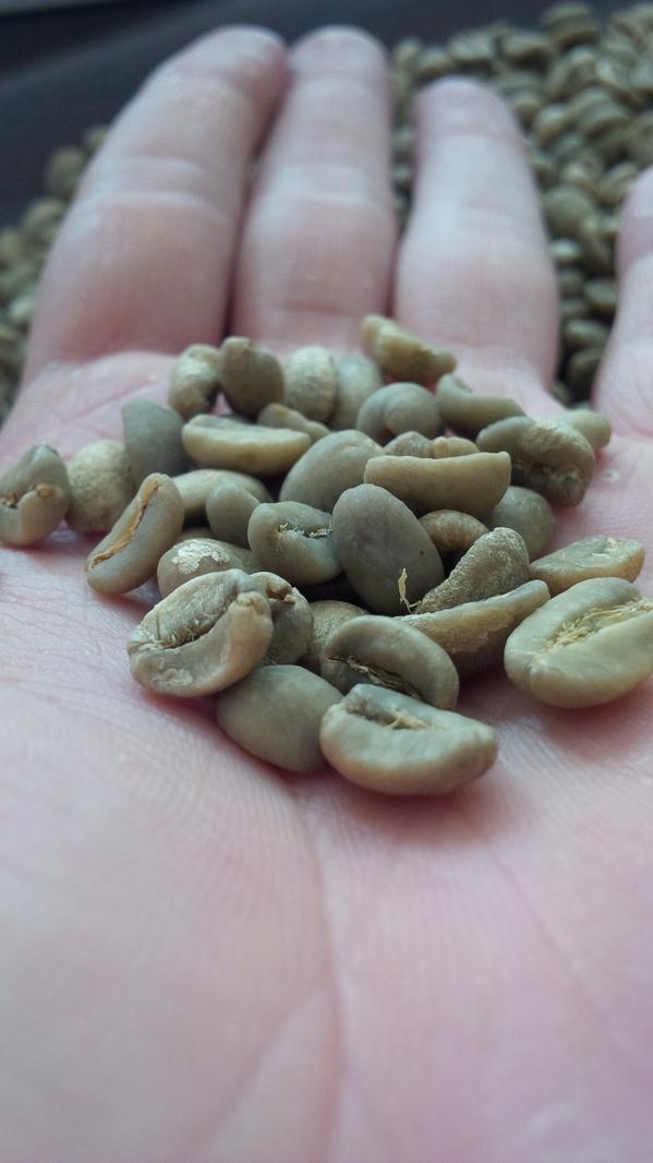 worcas's tweet photo. Available Raw - Green Bean and Roasted Kopi Luwak Gayo 
Wild - 100% Pure and Natural

Minat?? :D http://t.co/PDti1A0UQQ
