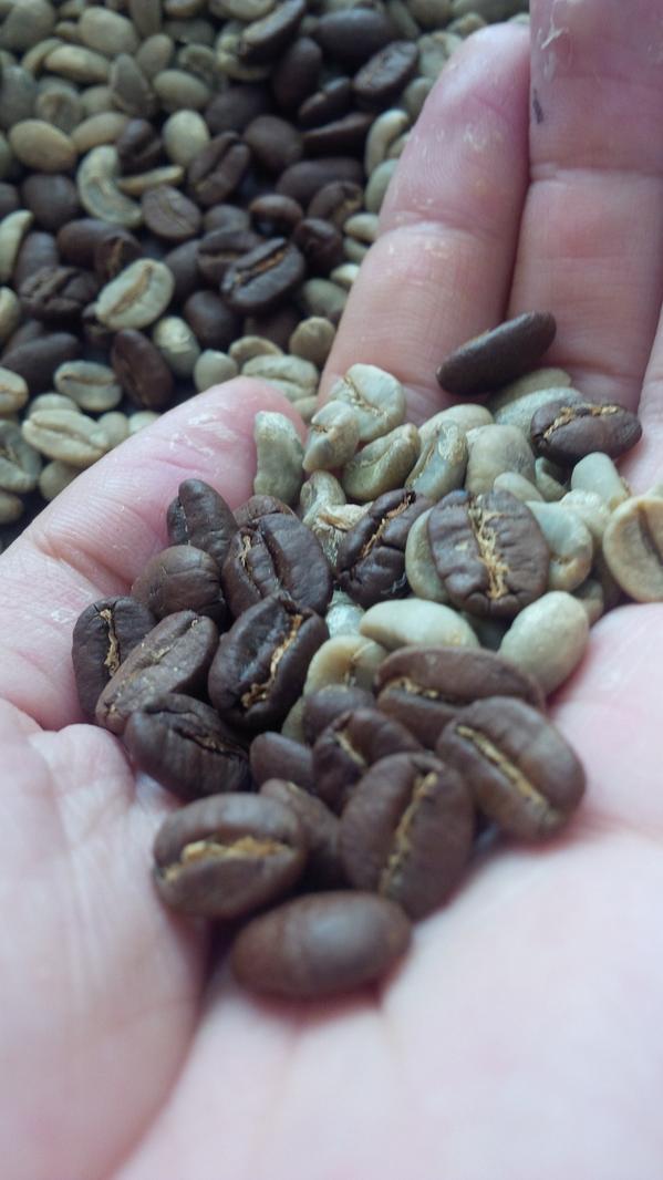 worcas's tweet photo. Available Raw - Green Bean and Roasted Kopi Luwak Gayo 
Wild - 100% Pure and Natural

Minat?? :D http://t.co/PDti1A0UQQ
