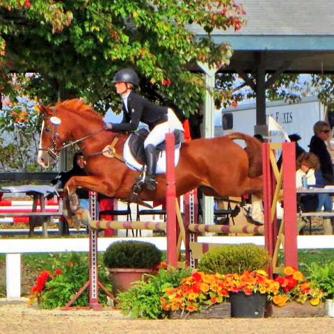 JenRoytz's tweet photo. I love this new camera! @KyHorsePark #MSEDA #3DE http://t.co/FpV5iFIbzt