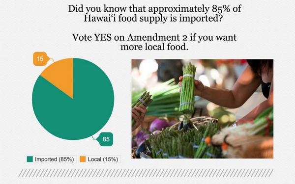 aloha_aina's tweet photo. Help support local farmers & food by voting Yes on Amend. 2 http://t.co/Rklo2WxSqd #VoteYes2LocalFood http://t.co/WZyLaVkl2L