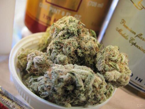TheDankKing's tweet photo. Dank of the day! http://t.co/CLBGN57y0V