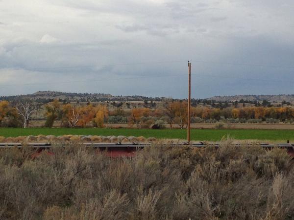 It's a desolate but beautiful state I live in... #406 #montanalandscape #beautiful