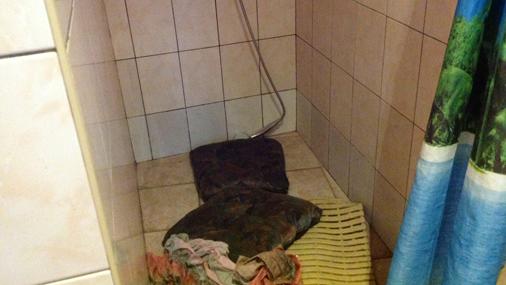 TVNET_zinas's tweet image. Rīgas 2. ģimnāzijas 10. klašu "fukšu" ballē jaunieši kārtīgi izdemolē viesnīcu!  go.tvnet.lv/w0rapu