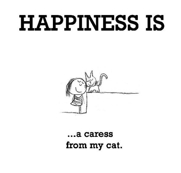 Happiness Is... (@thisishappypage) on Twitter photo 