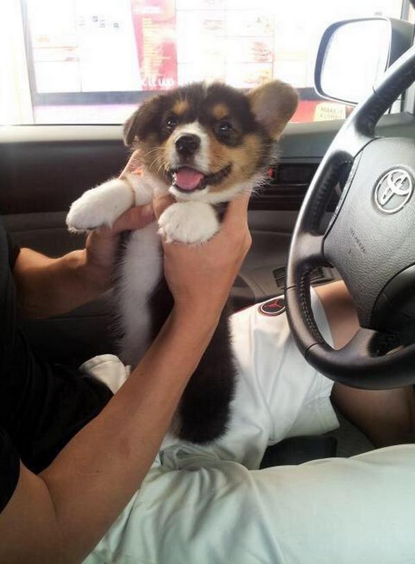 StumblerVideos's tweet photo. I want one 😟 http://t.co/izeMcMVVmx