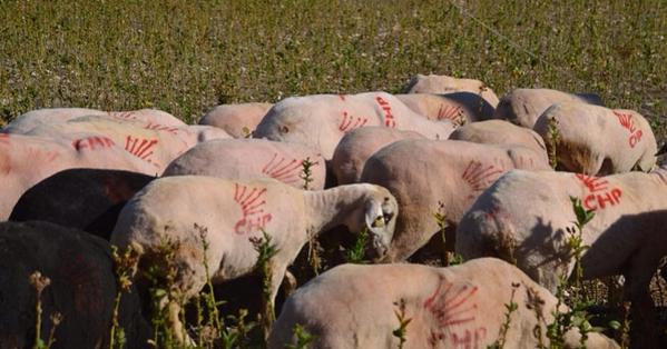 BİZ SÖYLESEK ORTALIĞI YIKARSINIZ...CHP'LİLER HADİ YORUMLAYIN:) goo.gl/Xfu7FT