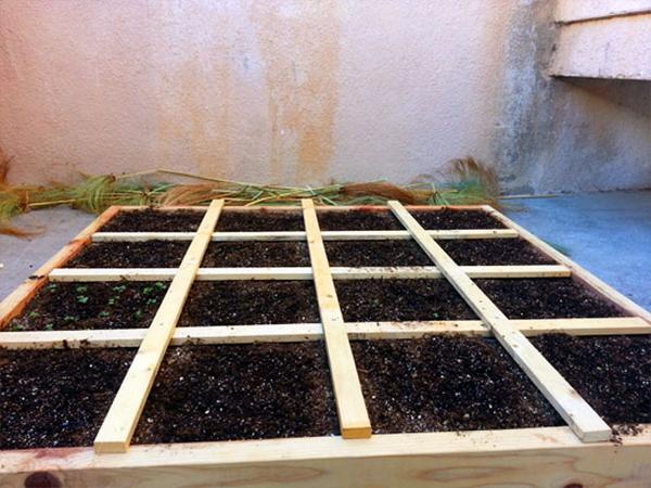 elbeenk's tweet photo. @SFGF Since I don't have a baby, I've decided I'll post pictures of my square foot garden!  #gardening #LA #Organic http://t.co/Ie22XV8NoB