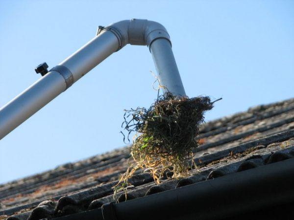 MasterGutter's tweet image. Cleaning gutters
#RainGuttersInstallation
#SeamlessRainGutter
#CopperGutter
#AluminumGutter

 mastergutter.com