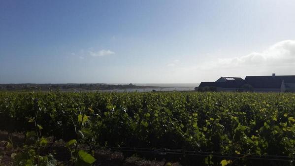 Cathedral Cellar tweet media