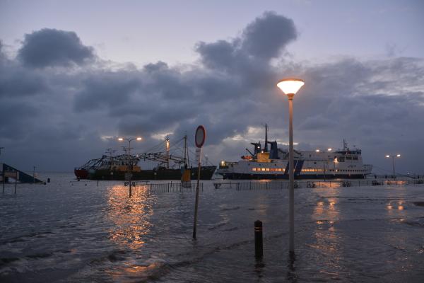 Helga van Leur ☀ tweet media