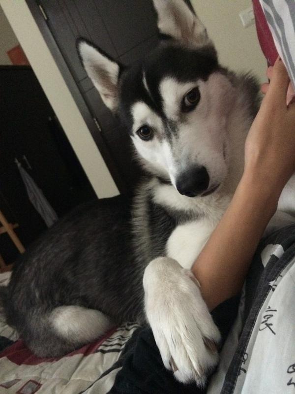 When someone tries to touch my face