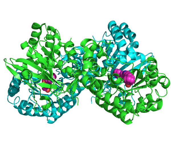 249 new #PDB entries today. Inc this chemotherapy target from <a href="/genentech/">Genentech</a> publ. in <a href="/PLOSONE/">PLOS One</a>  pdbe.org/latest