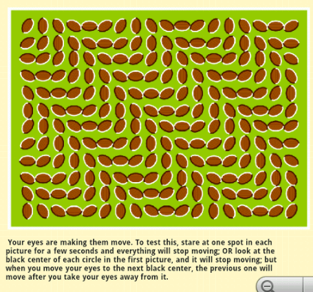 Zane Princeton (@zane_princeton) on Twitter photo 