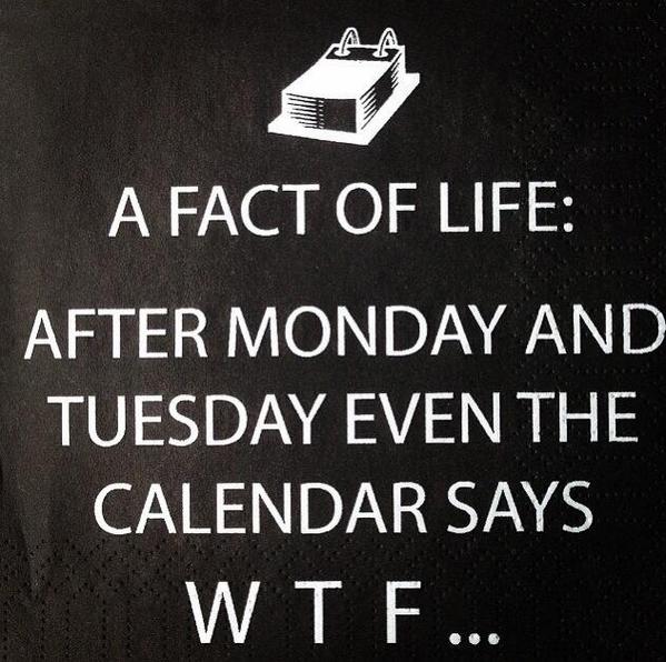 stephvp's tweet image. 