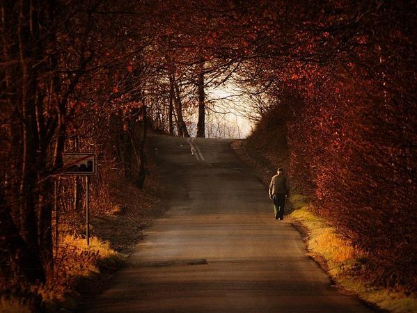 Gabriele_Corno's tweet photo. Back Home... by Sebastian Luczywo
Via @letutto @chaebae @hijiri_kouya @fmpreuss @8270chihaya @drkent @circa13579 http://t.co/26qZhHy3at