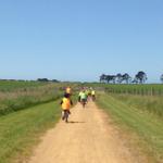 Photo by Koroit Primary (@KoroitPrimary)
