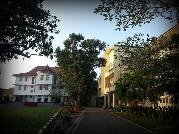 bdhammadassi's tweet image. 