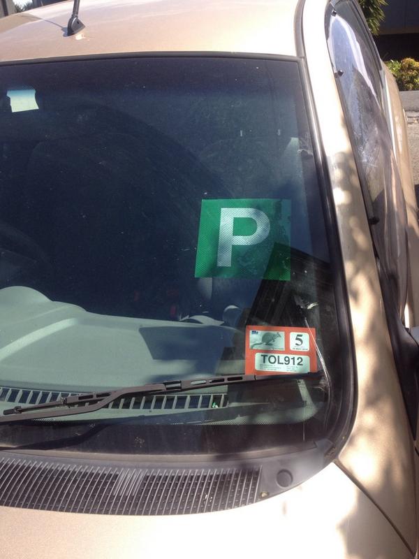 lauradrenen's tweet photo. Happy 1 year license ✅ #greenps #bouttime #nomoreoverloading http://t.co/31AwLFsKOC