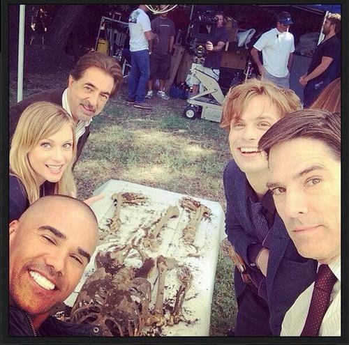 TF1's tweet image. Ils sont de retour ! RDV ce soir à 20h55 avec toute l'équipe d'#EspritsCriminels &amp;gt; bit.ly/1x97H5B #TF1