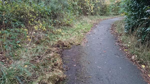 SusNEsupport's tweet image. Before and after clearing encroaching turf from the track in one picture! #c2ctidyup