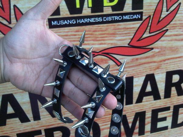 MUSANG HARNESS (@aja_mhdm) on Twitter photo 