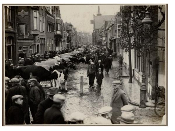 <a href="/kleinenoord/">kleine noord</a> tegenwoordig een prachtige (mode)straat in #Hoorn, maar dat is niet altijd zo geweest....