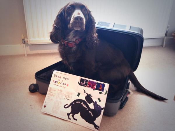 helenklindley's tweet photo. Lola brought on roadtrip to Bristol for us to see this...she is unamused by subject matter @WeAreKneehigh #wrongcase http://t.co/z703DqbBUI