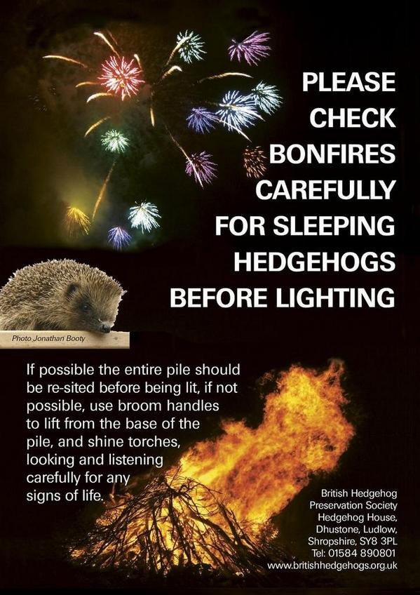 peterb01312's tweet photo. November
November
The 5th of November
#bonfirenight 
This #hedgehog set on fire
Please
Please
Check your fire https://t.co/VeYFDN1slS