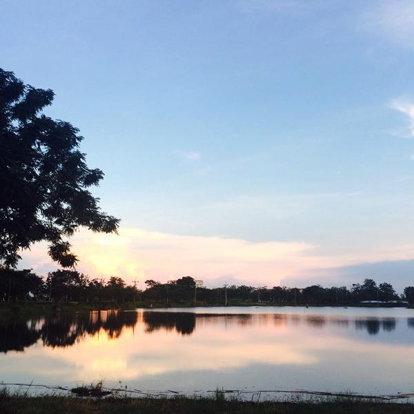 thansap01's tweet photo. โลกที่สวยงาม ที่จริงมันโหดร้ายแค่ไหน มศวองครักษ์ http://t.co/yxSwHyeAIJ
