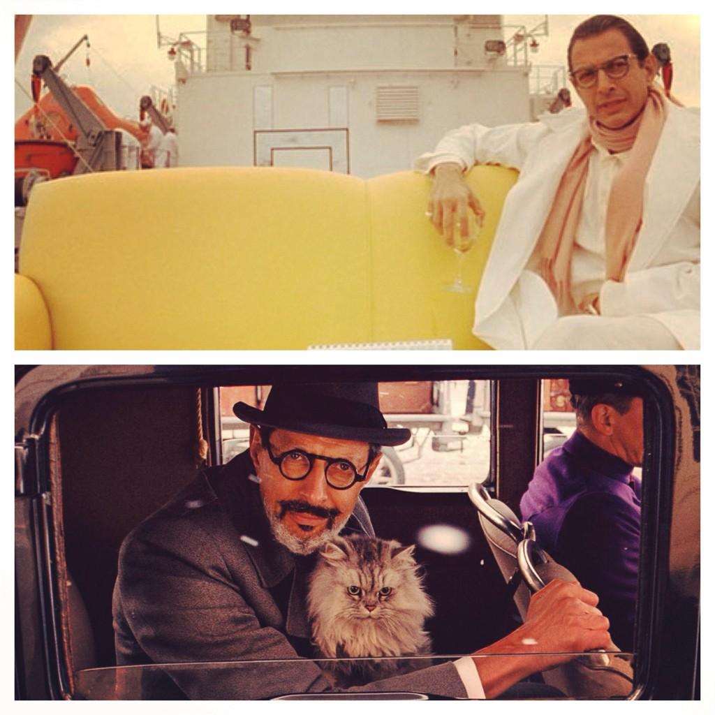 Happy Birthday to our favorite "part gay" Zissou nemesis and deputy executor of wills, Jeff Goldblum! 