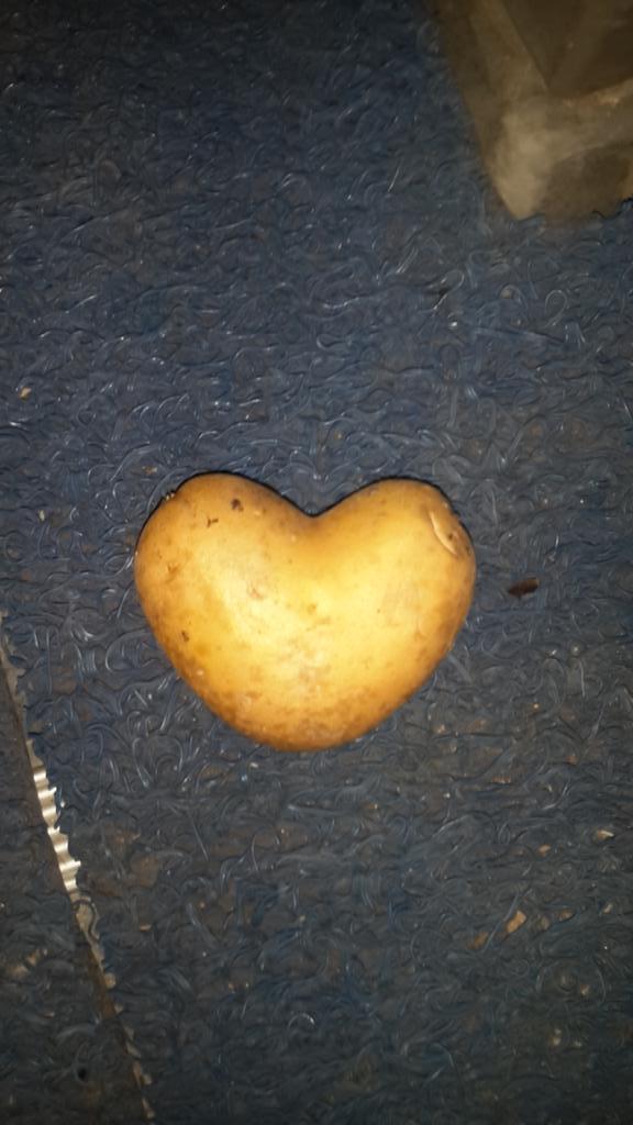 ünal  Yüksel (@nykunal) on Twitter photo 