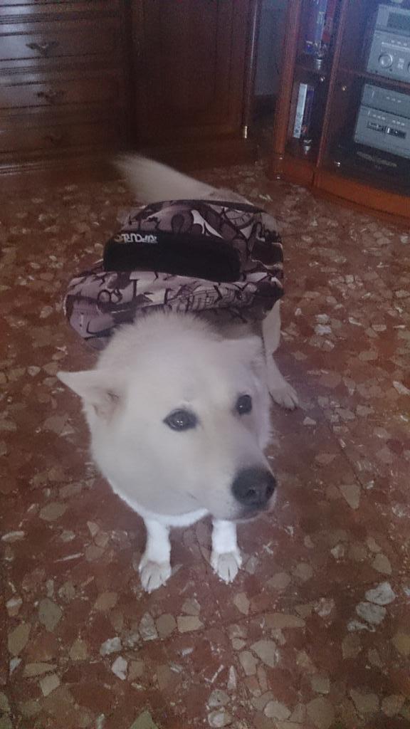lauramt06's tweet photo. Mi Tula va al cole @MalagaJuventud #moda12 http://t.co/CiImXWUzbN