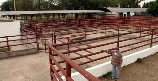 La participación de Argentina en el #mercado mundial de #carne #bovina pasó del 9,2% al 1,9%:.abcruraltv.com.ar/en-la-ultima-d…
