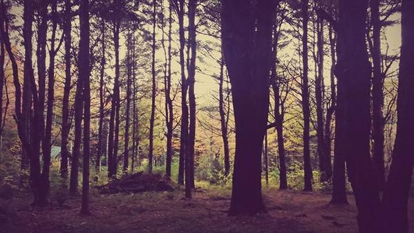 Chris___Dennis's tweet photo. The wooden lodge in Destroy All Ghosts http://t.co/KzpzvMjvh8