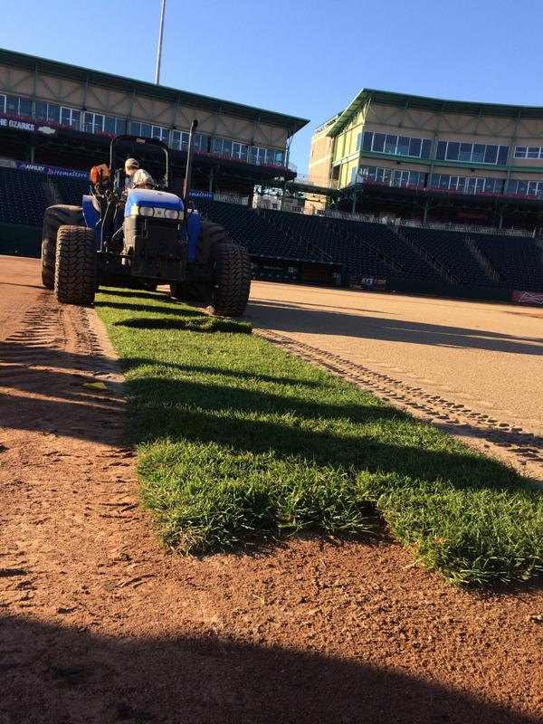 Sgf_Cardinals's tweet photo. The first piece of sod has been laid! #FieldTransformation http://t.co/oE7WPjBS0J