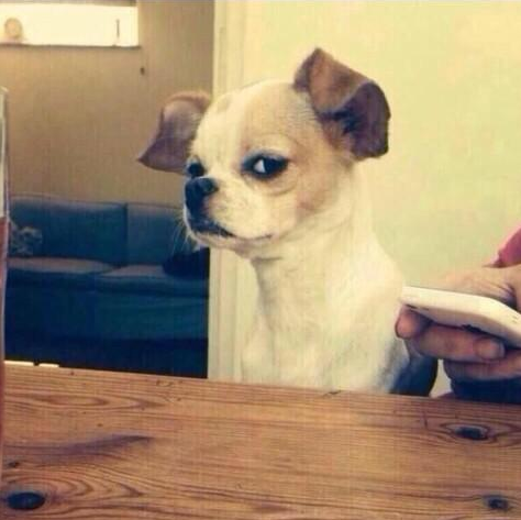 AlejandrooSoyYo's tweet image. Cuando estas con tu novia y le llega un mensaje desconocido