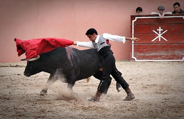 <a href="/edgarbadillo94/">edgar badillo</a> MOSTRANDO AVANCES #DescubriendounTorero