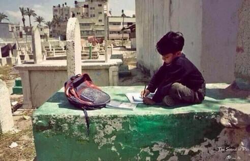 منصور الهذلي tweet media