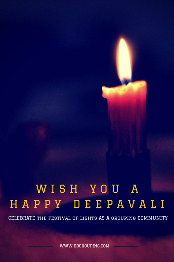 dogrouping's tweet photo. Celebrate the festival of lights with us. Wish you a happy Deepavali. http://t.co/syNAIp367K