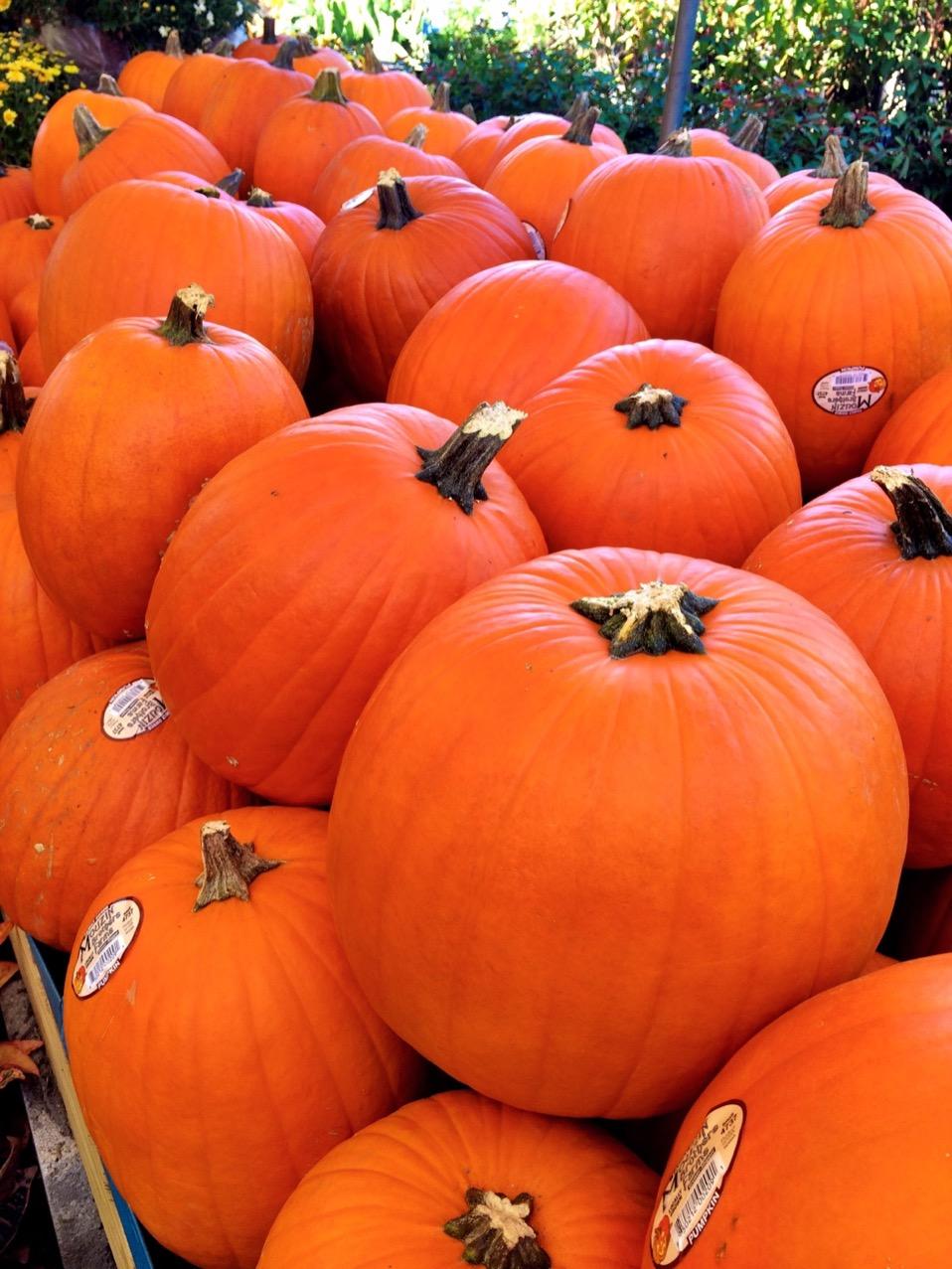 Karen Berry (kdberry) Twitter