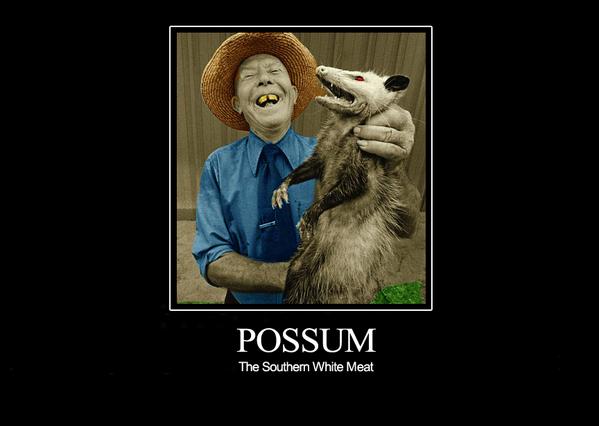 Possum Scans (@PossumScans) / X